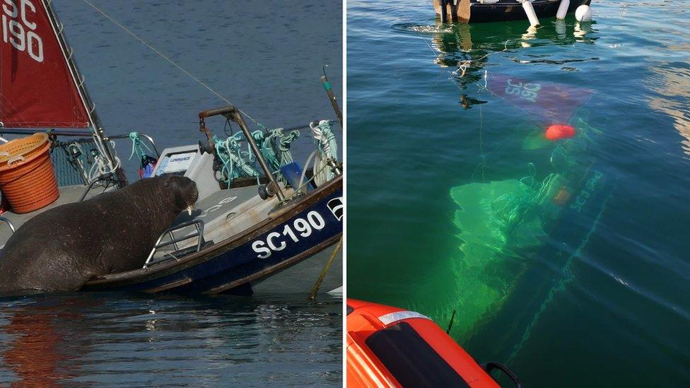 Wall on boat and submerged boat