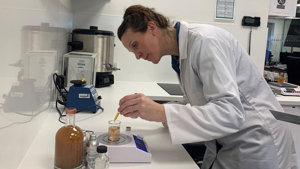 Vanessa Jacoby drops liquid into a beaker with a pipette