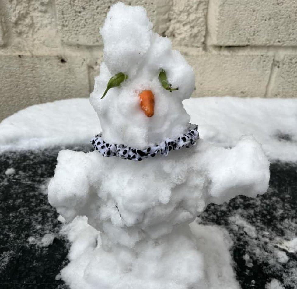 A snowman