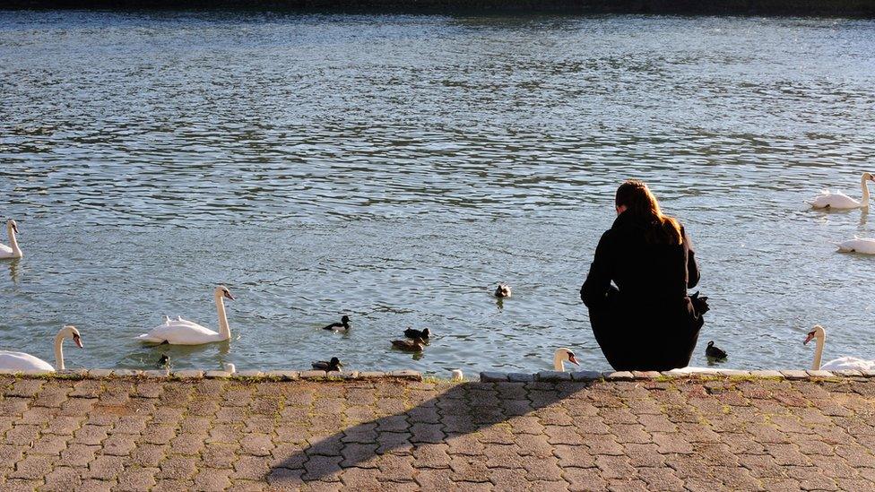 Woman feeding the duck, stock image