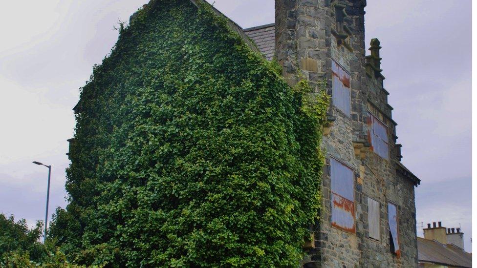 The building covered in ivy