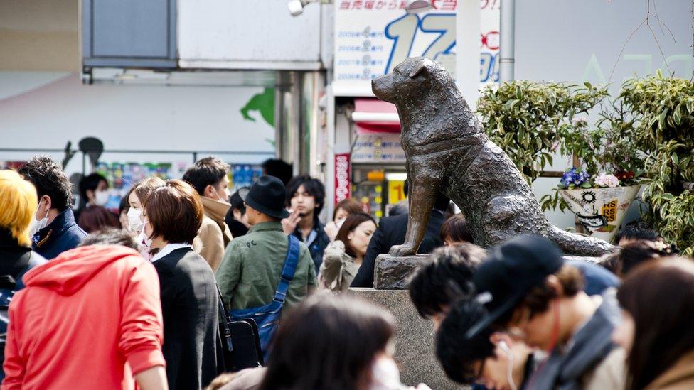 Hachiko the Akita dog's statue