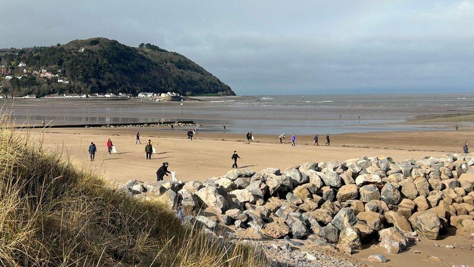 Beach litter pick