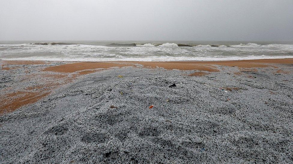 Plastic pellets washed off the MV X-Press Pearl are seen in Ja-Ela, Sri Lanka June 3, 2021