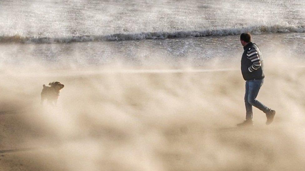 Man and dog walking in sand storm on Tynemouth beach