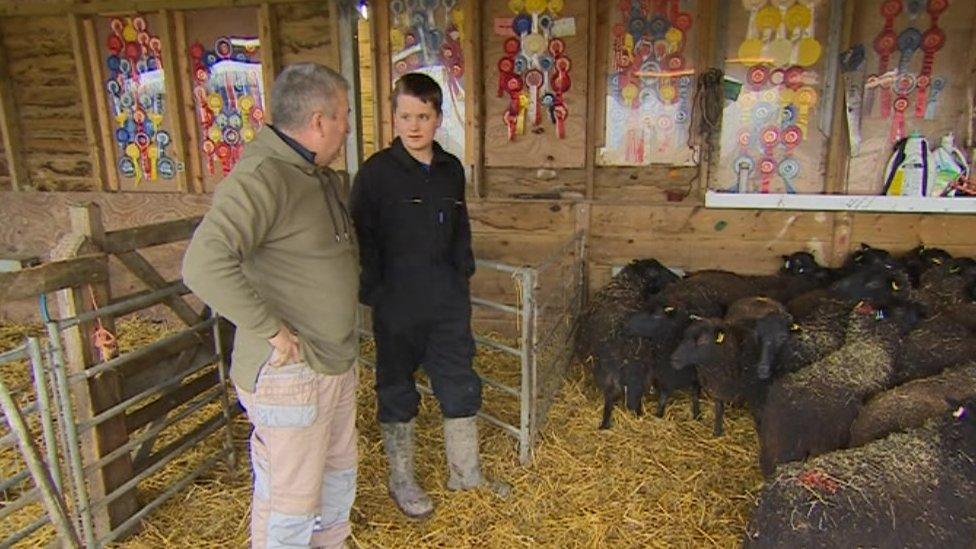 Jack Sinott picking his ewes