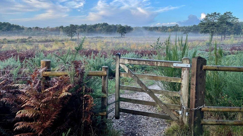 WEDNESDAY - Bracknell Forest