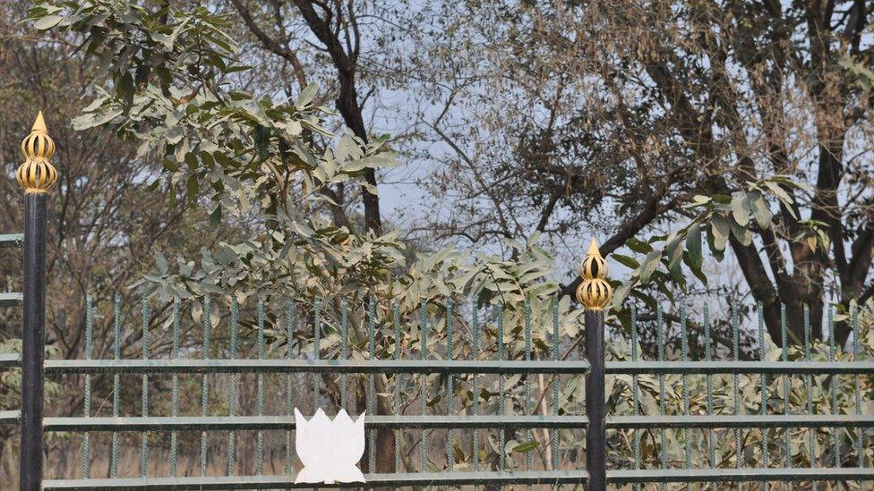 Significant part of the Lumbini Protected Zone has vegetation