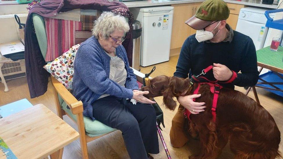 Jean Findlay with a red setter