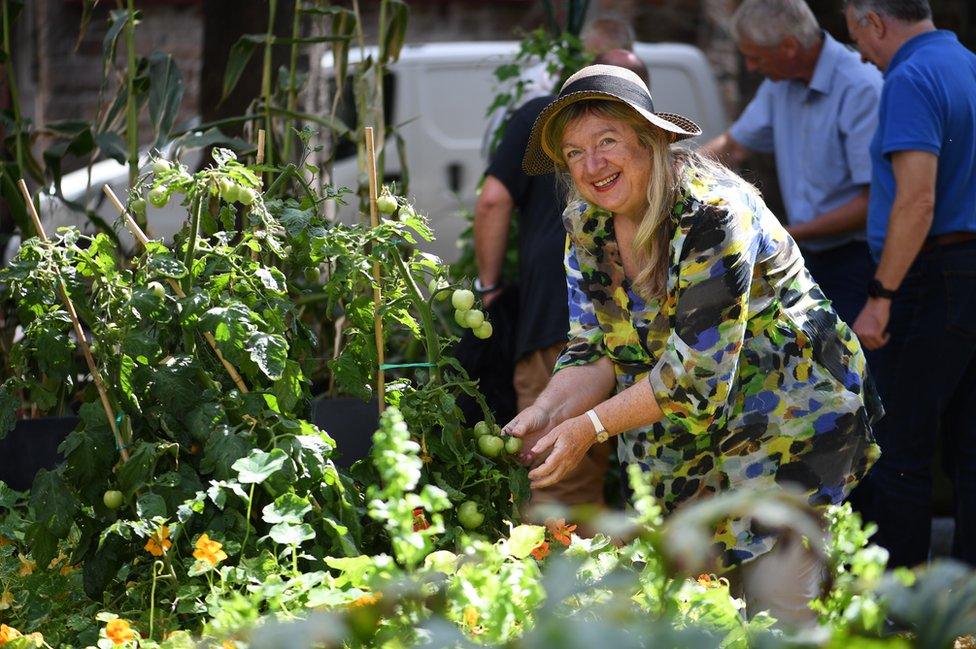 A volunteer admires one of the Parish's moveable pop-up allotments