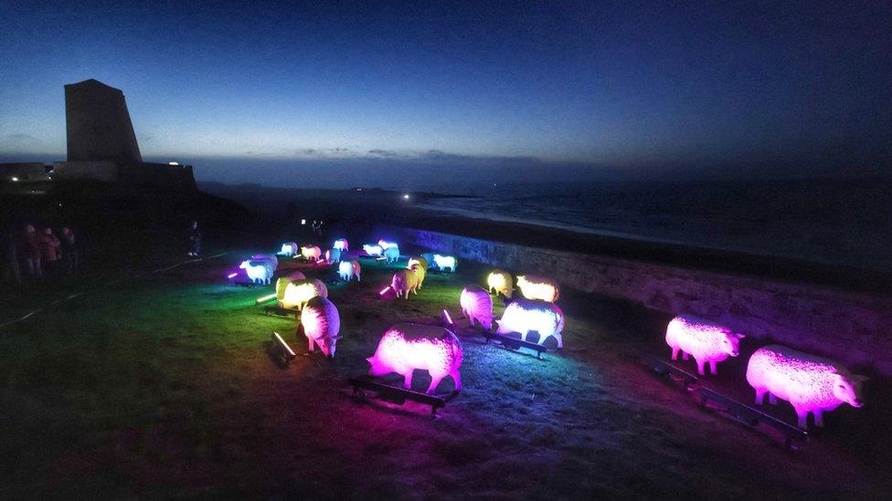 Sheep at Bamburgh Castle