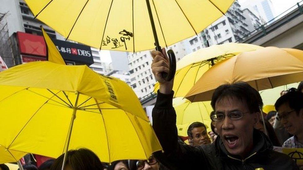 A pro-democracy protester during the march to demand universal suffrage (01 February 2015)