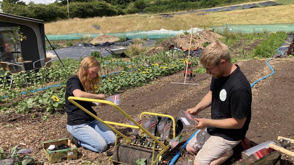 Katherine and David kneeling on soil planting seedlings