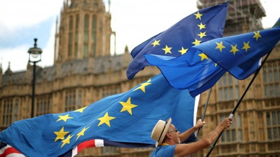 Man with EU flags outside Parliament