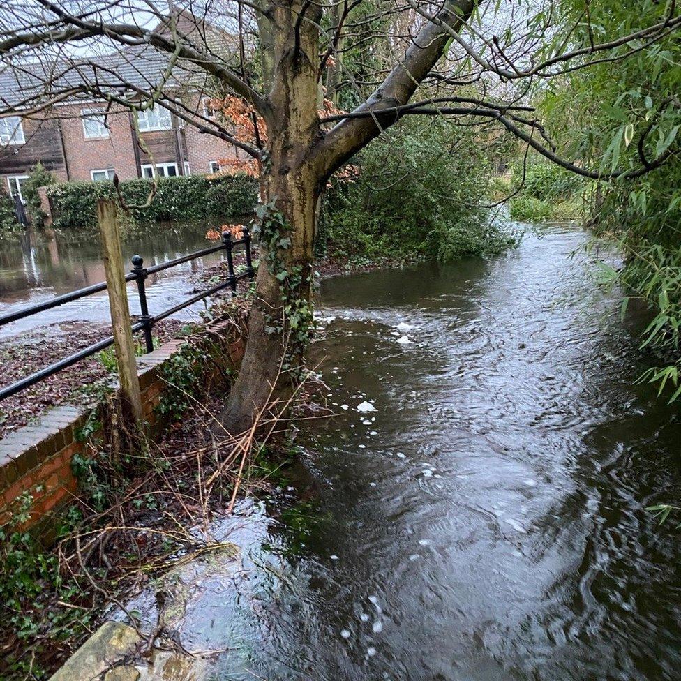 Chiltern Chalk Streams said Thames Water had been "pumping screened sewage" into the River Misbourne near Amersham, Buckinghamshire