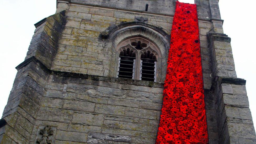 Wellesbourne poppies