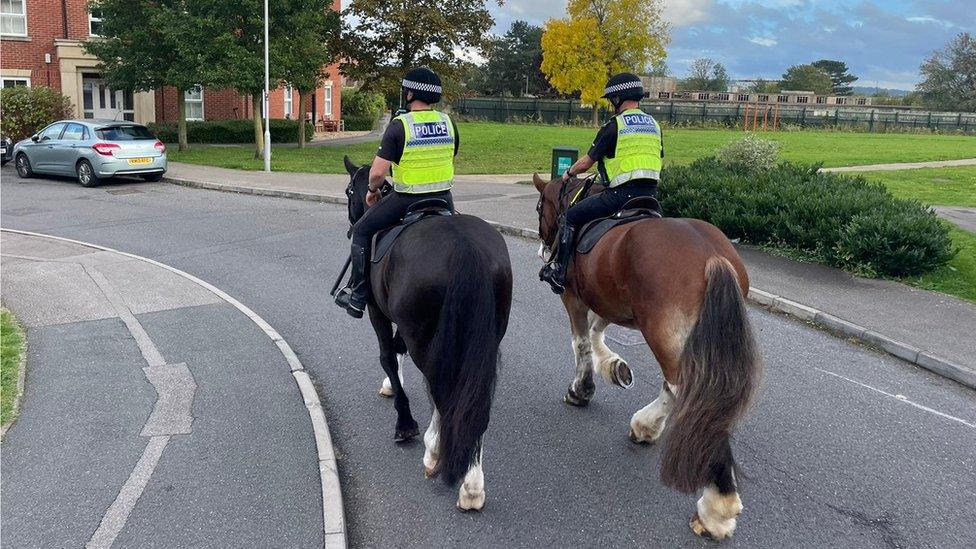 Police horses Viktor and Triton