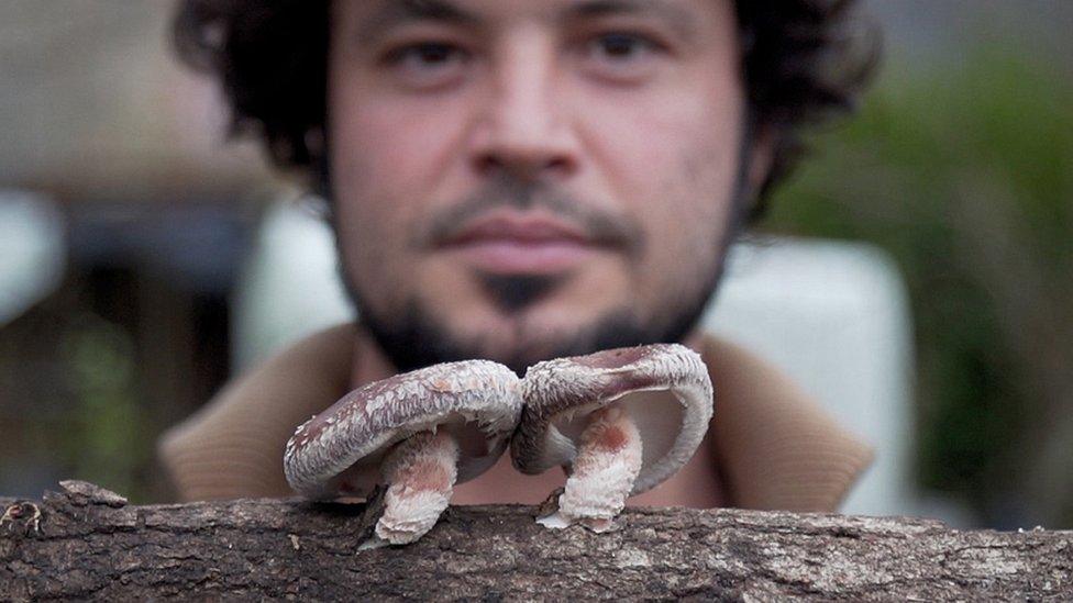 Javi Fernandez with shiitake mushrooms