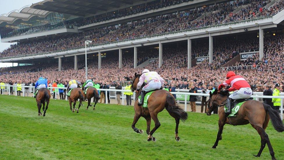 Horses running at Cheltenham