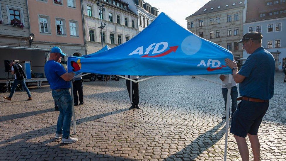 AfD campaigners in Pirna