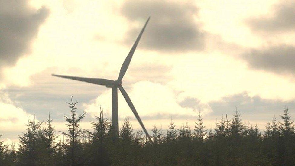 Brechfa Forest West Wind