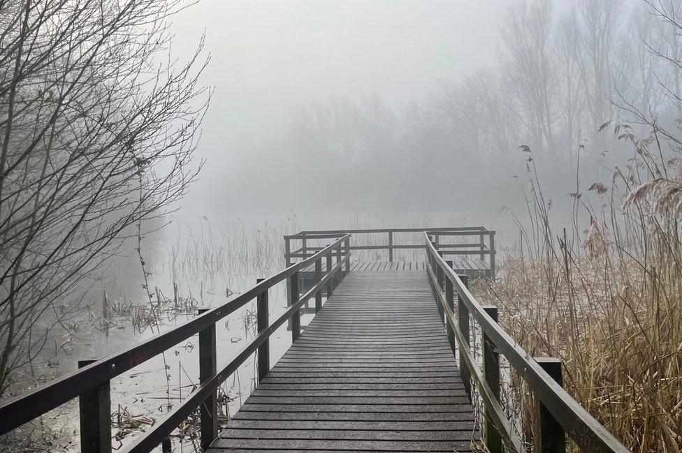 Fog at Holme Pierrepont