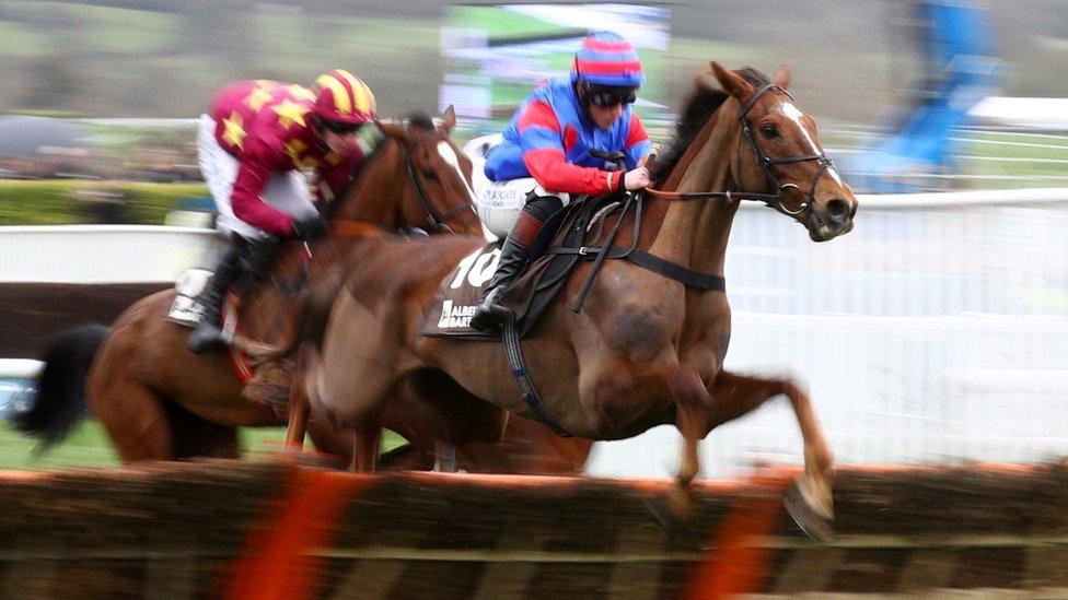 Step Back ridden by J.E Moore clears a hurdle in the Albert Bartlett Novices' Hurdle during Cheltenham Gold Cup Day