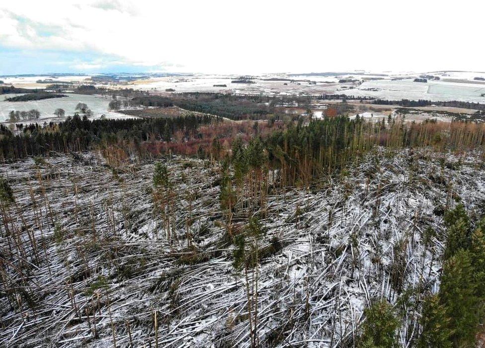 Haddo estate