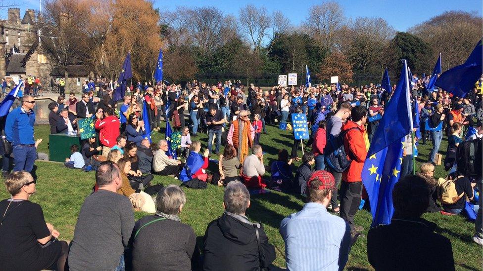 Crows at the Euro march