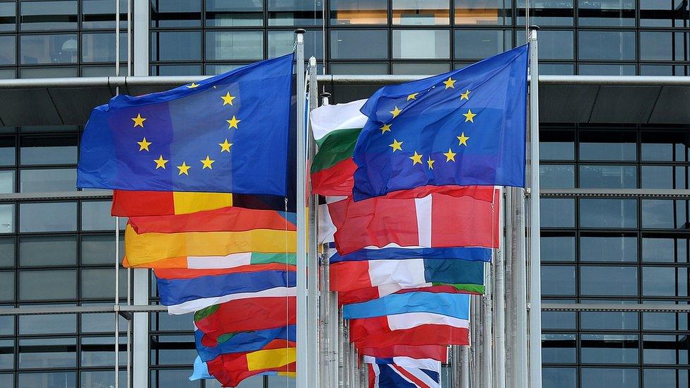 Flags outside the European Parliament