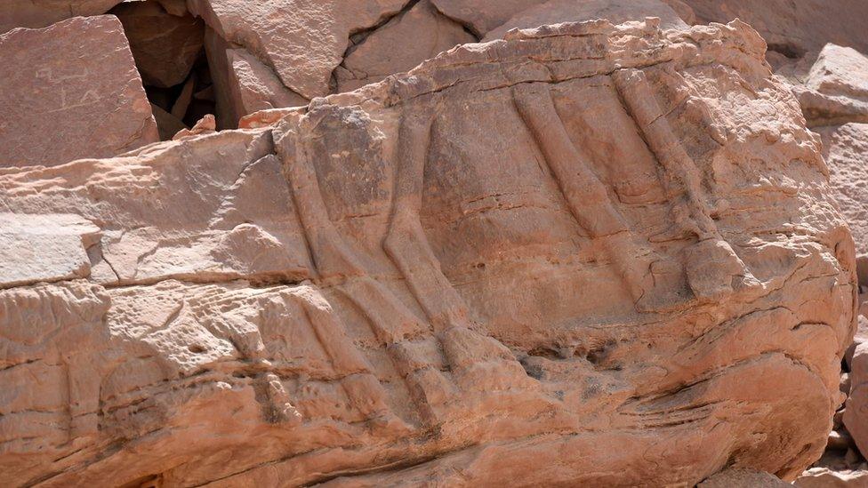 Legs of camels carved into rock faces in Saudi Arabia