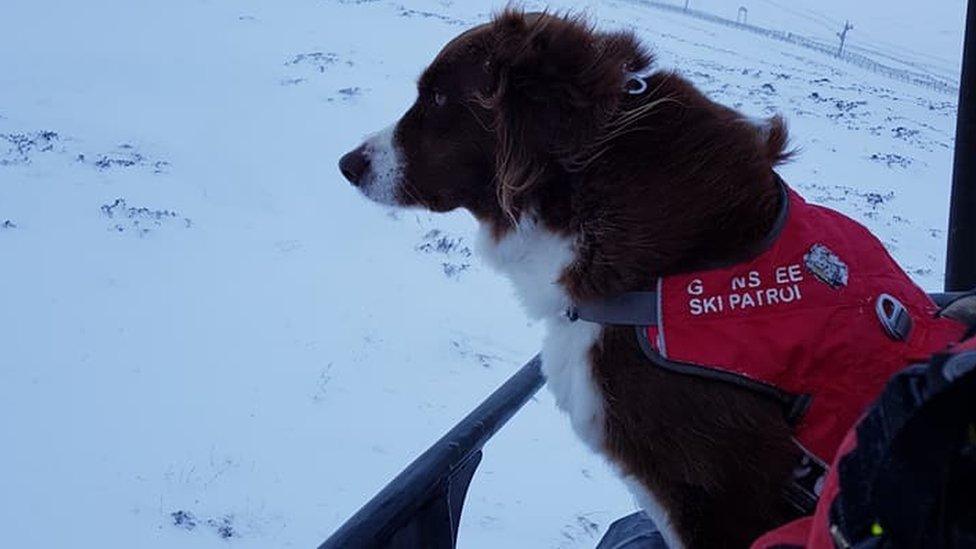 Bodie enjoying a ride on a ski lift