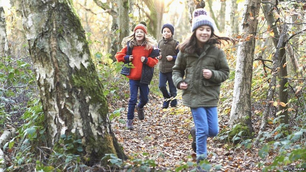 Kids running through autumn leaves in forest