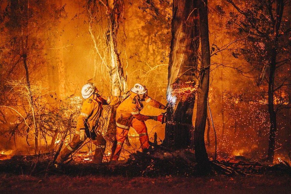 Two volunteer firefighters cut down a tree with a chainsaw as flames burn around them