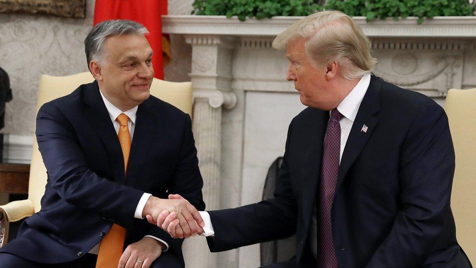 Mr Orban shakes hands with president Donald Trump at a reception in stately surroundings at the White House