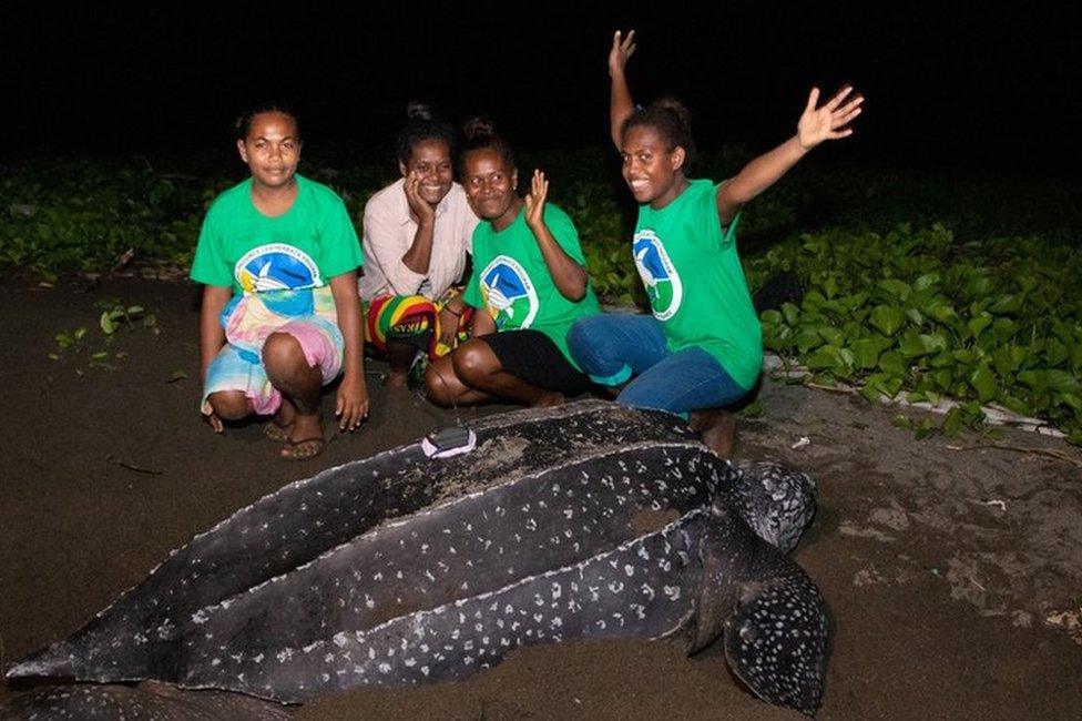 Women rangers with a leatherback turtle