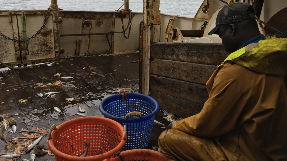 Fisherman working on deck