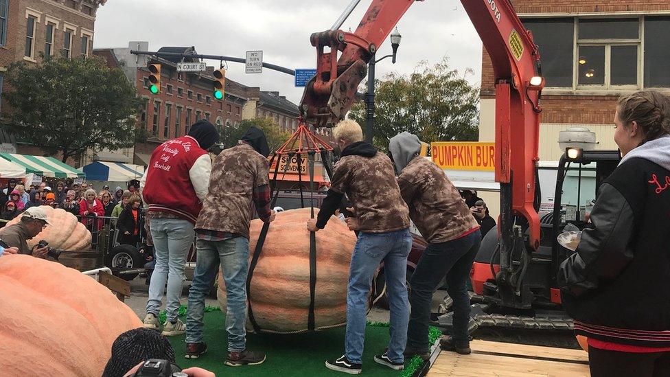 Pumpkin weighing