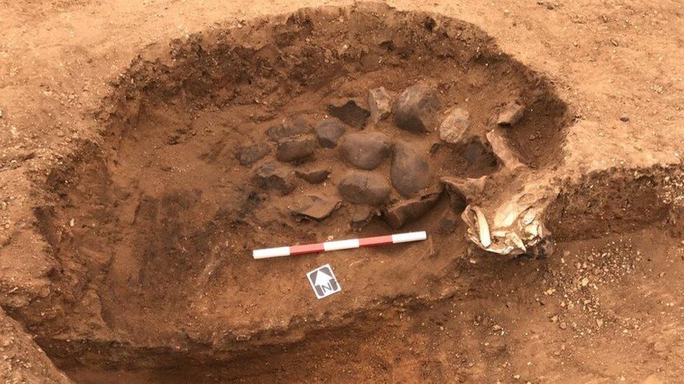 Feast pit containing burnt stones and animal bones