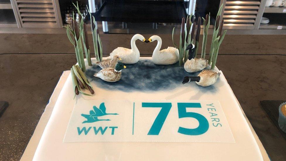 WWT 75th anniversary cake