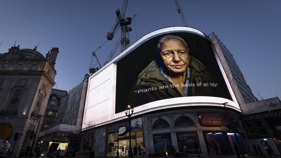 David Attenborough on screen at Piccadilly Circus