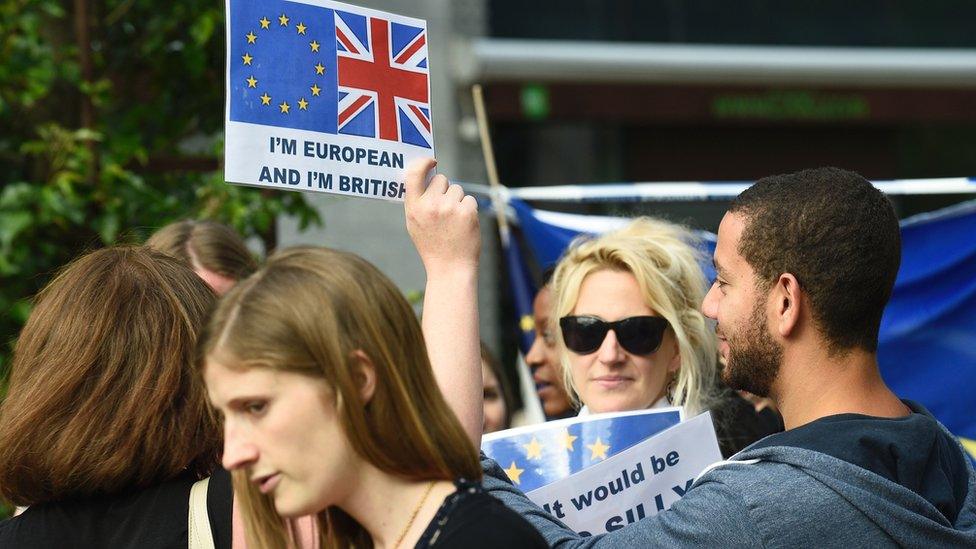 British expats demonstrating in Brussels, 28 Jun 16