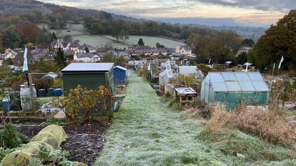 Starkholmes Allotments