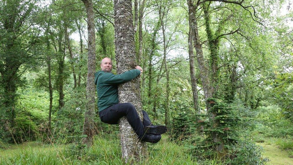 Tree hugging championships