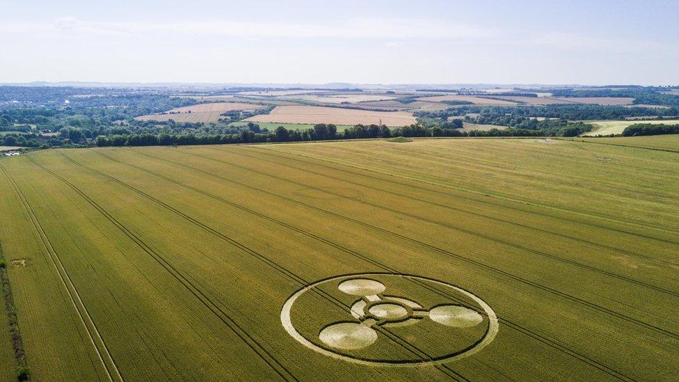 Chemical weapon symbol crop circle