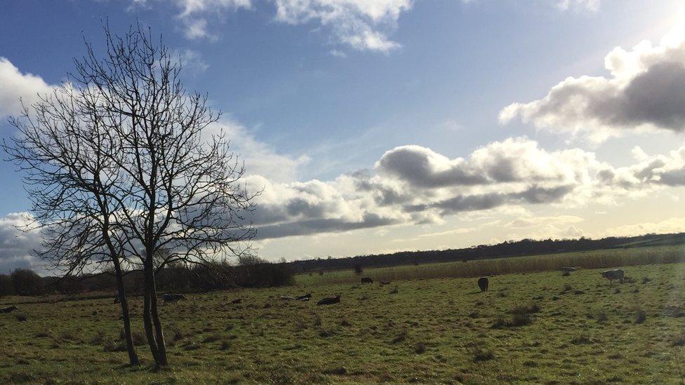 Work includes fencing off watercourses from livestock