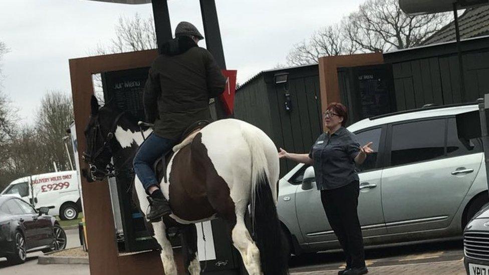 horse at drive through