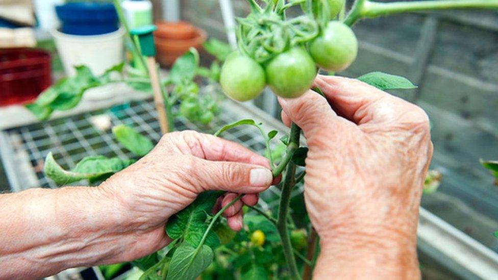 gardening