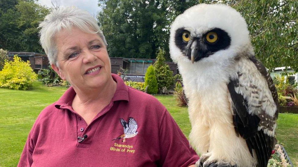 A lady holding a bird of prey