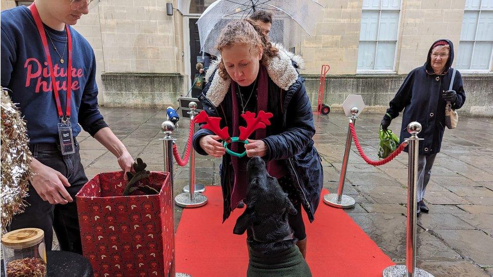 Woman putting red antlers on a dog on the red carpet